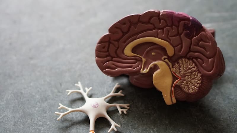 AI-Powered Study Tools for Psychology Students